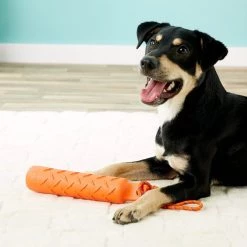 KONG Training Dummy for Dogs 11 KONG Training Dummy for Dogs -KONG Toys Shop 77679 PT8. SY630 V1507035640