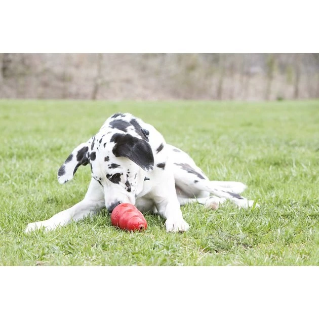 KONG Stuff'N Sweet Potato Spread Dog Treat 6 KONG Stuff'N Sweet Potato Spread Dog Treat - Image 4