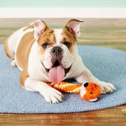 KONG Winder Dog Toy -KONG Toys Shop 81984 PT3. SY630 V1605322011