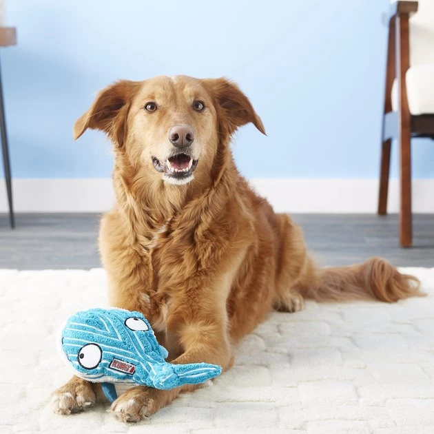 KONG CuteSeas Whale Dog Toy 5 KONG CuteSeas Whale Dog Toy - Image 3