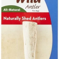 KONG Wild Whole Elk Antler Dog Chew