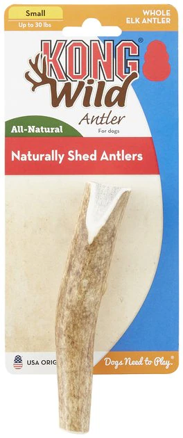KONG Wild Whole Elk Antler Dog Chew 3 KONG Wild Whole Elk Antler Dog Chew