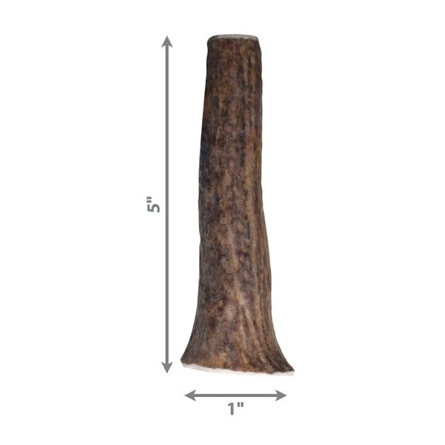 KONG Wild Whole Elk Antler Dog Chew 4 KONG Wild Whole Elk Antler Dog Chew - Image 2