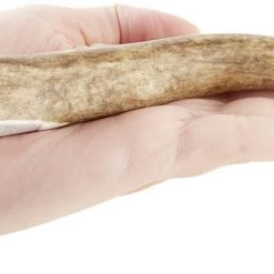KONG Wild Whole Elk Antler Dog Chew 12 KONG Wild Whole Elk Antler Dog Chew -KONG Toys Shop 88732 PT5. SY630 V1551371569