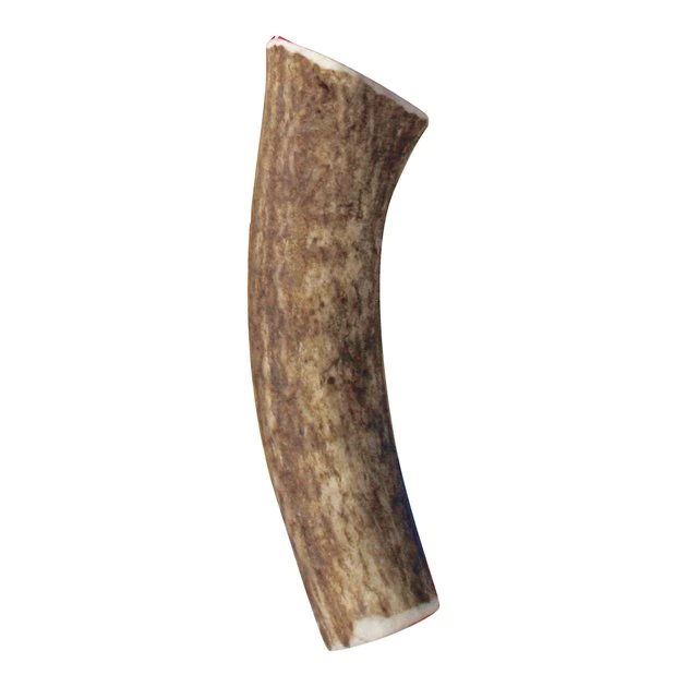 KONG Wild Whole Elk Antler Dog Chew 3 KONG Wild Whole Elk Antler Dog Chew