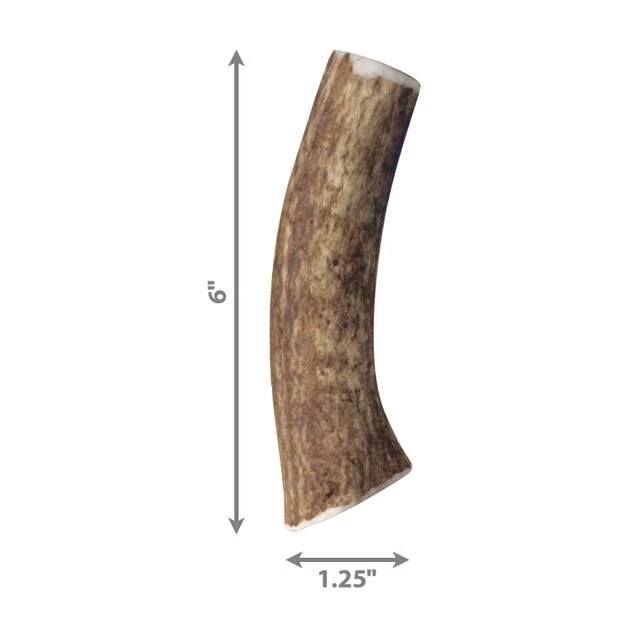 KONG Wild Whole Elk Antler Dog Chew 4 KONG Wild Whole Elk Antler Dog Chew - Image 2