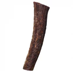 KONG Wild Whole Elk Antler Dog Chew