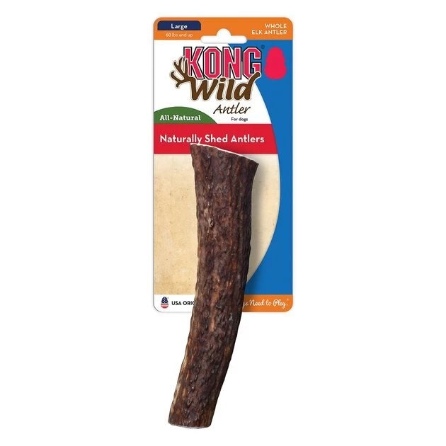 KONG Wild Whole Elk Antler Dog Chew 6 KONG Wild Whole Elk Antler Dog Chew - Image 4