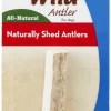 KONG Wild Split Elk Antler Dog Chew 1 KONG Wild Split Elk Antler Dog Chew -KONG Toys Shop 88744 MAIN. SY630 V1551371580
