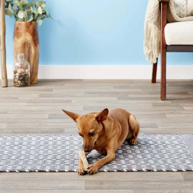 KONG Wild Split Elk Antler Dog Chew 6 KONG Wild Split Elk Antler Dog Chew - Image 4