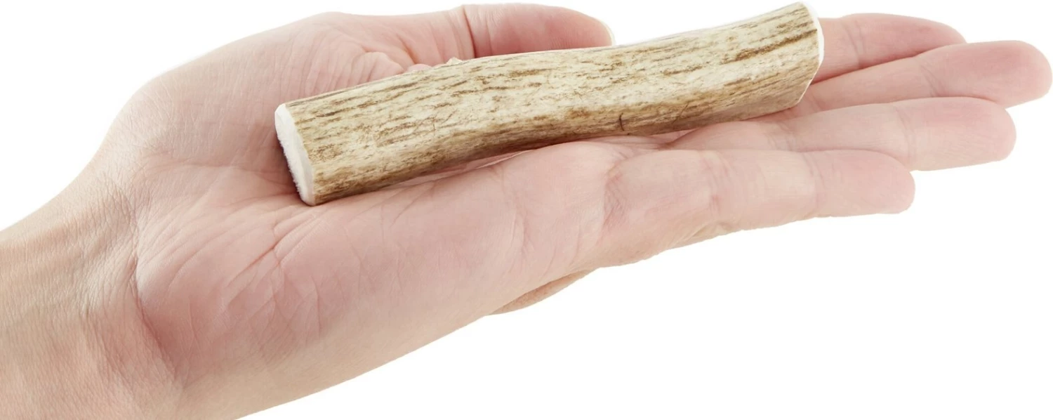 KONG Wild Split Elk Antler Dog Chew 7 KONG Wild Split Elk Antler Dog Chew - Image 5