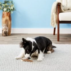 KONG Wild Split Elk Antler Dog Chew 13 KONG Wild Split Elk Antler Dog Chew -KONG Toys Shop 88745 PT4. SY630 V1551371634