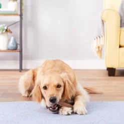 KONG Wild Split Elk Antler Dog Chew 13 KONG Wild Split Elk Antler Dog Chew -KONG Toys Shop 88746 PT4. SY630 V1551371654