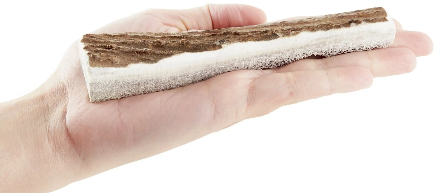 KONG Wild Split Elk Antler Dog Chew 7 KONG Wild Split Elk Antler Dog Chew - Image 5