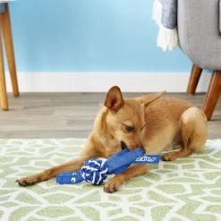 ROGZ by KONG Cowboyz Knot Dog Toy, Color Varies -KONG Toys Shop 89026 PT2. SY630 V1605325911