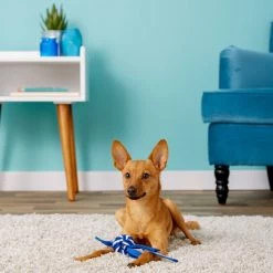 ROGZ by KONG Cowboyz Knot Dog Toy, Color Varies -KONG Toys Shop 89026 PT3. SY630 V1531523533